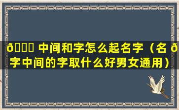 🐋 中间和字怎么起名字（名 🐞 字中间的字取什么好男女通用）